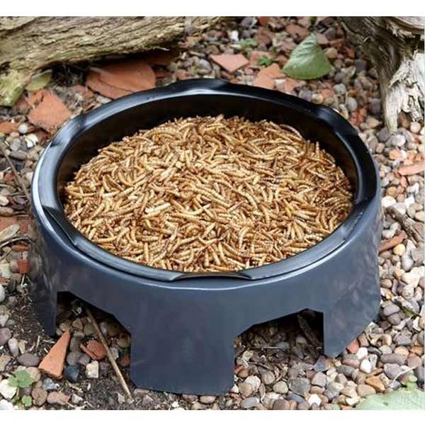 Peckish Mealworm 175g