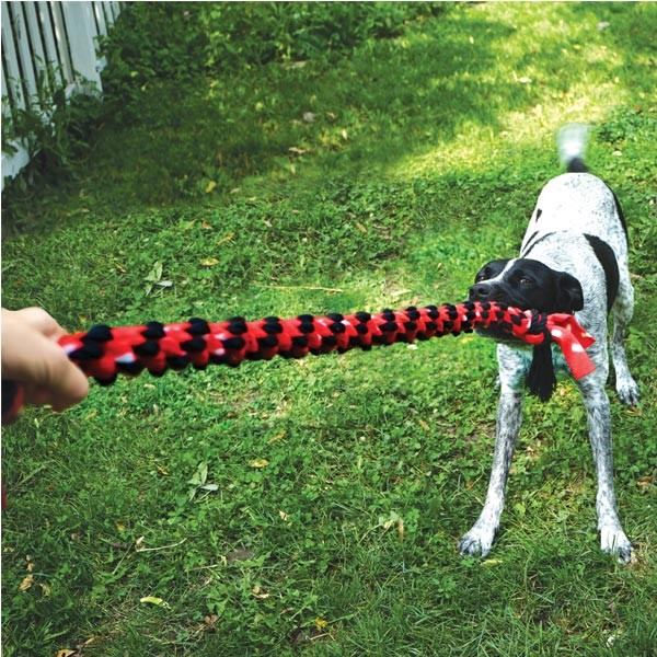 KONG Signature Rope Dual Knot Medium Dog Toy