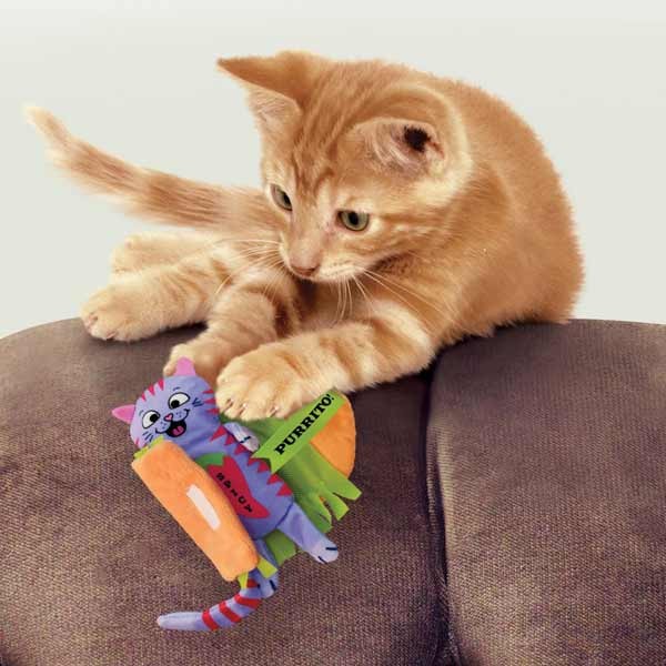 KONG Pull-A- Partz Purrito Cat Toy