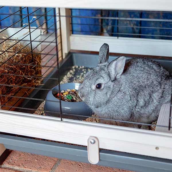 Ferplast Cottage Medium Indoor Rabbit Hutch