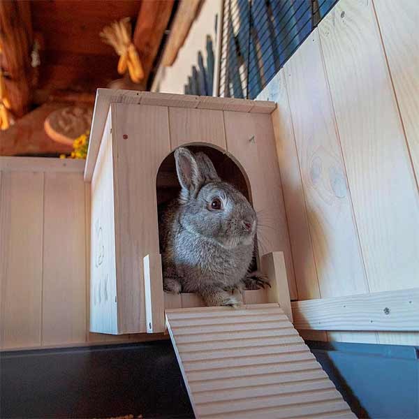 Ferplast Cottage Medium Indoor Rabbit Hutch