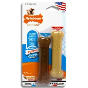 Nylabone Puppy Bone Twin Pack Peanut Butter & Chicken Extra Smal