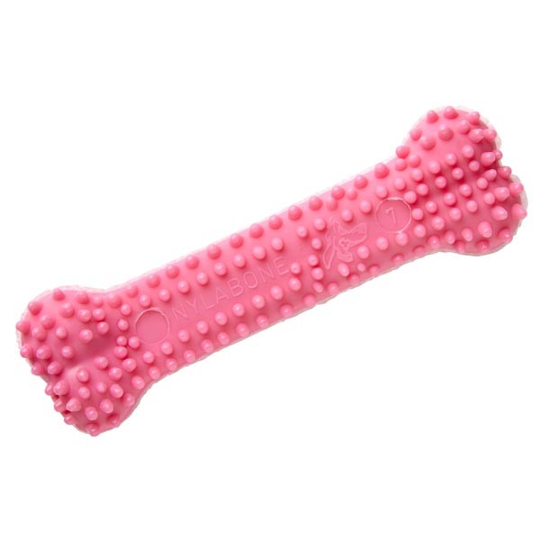 Nylabone Puppy Dental Bone Pink Chicken Extra Small