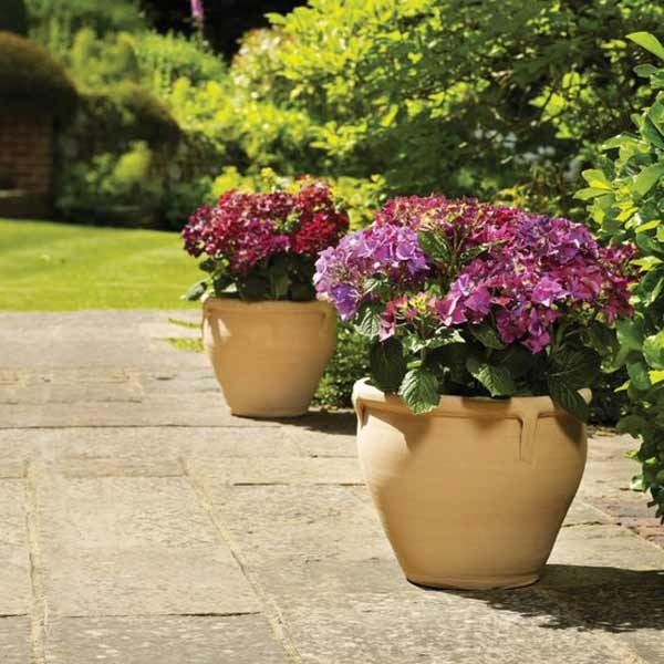 Himalaya Planter Terracotta Assorted 25cm