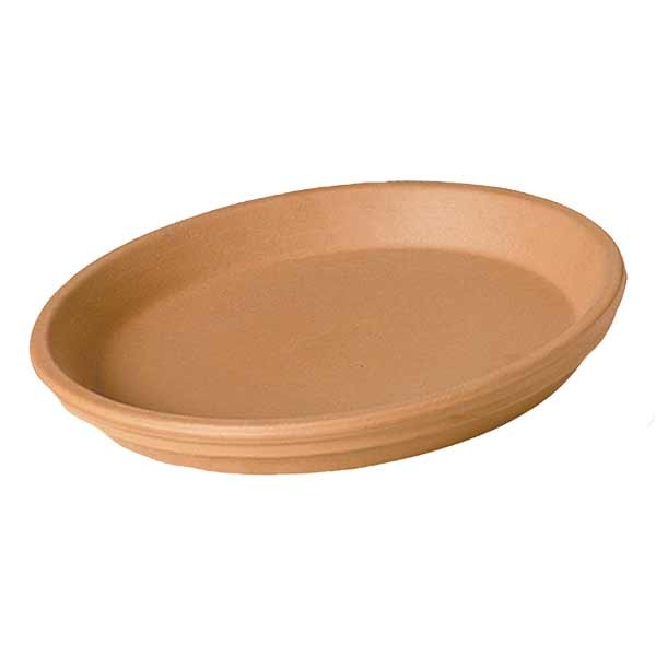 Terracotta Saucer 25cm Single