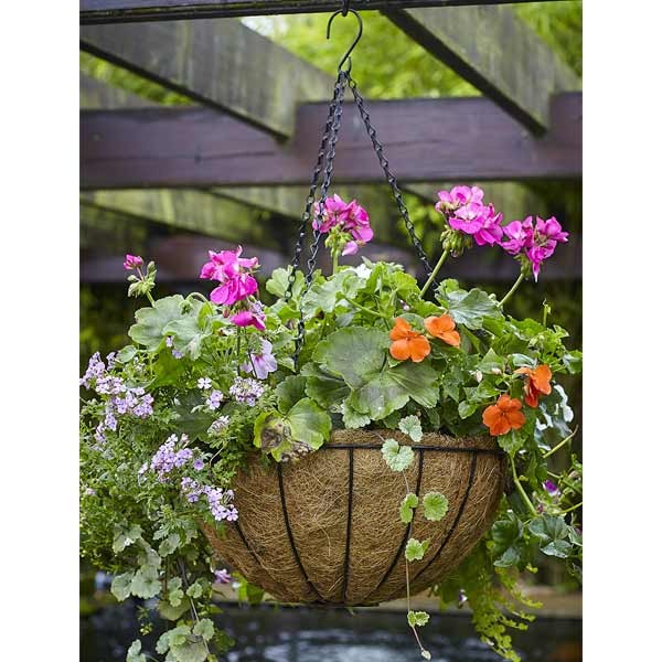 Tom Chambers Traditional Hanging Basket 40cm