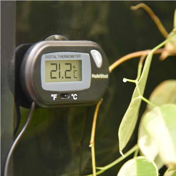 HabiStat Digital Thermometer