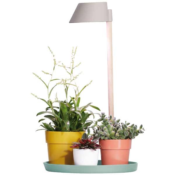 Elho Plant Light Care Glacier Grey