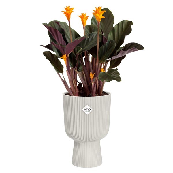 Elho Vibes Fold Coupe Silky White 14cm Flower Pot