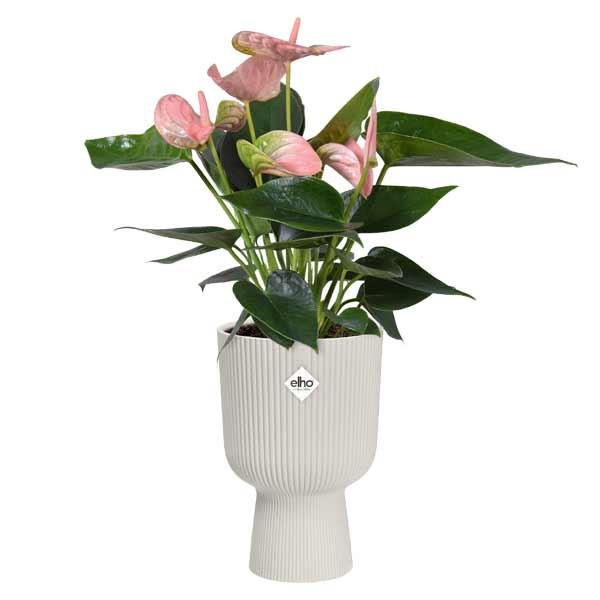 Elho Vibes Fold Coupe Silky White 14cm Flower Pot