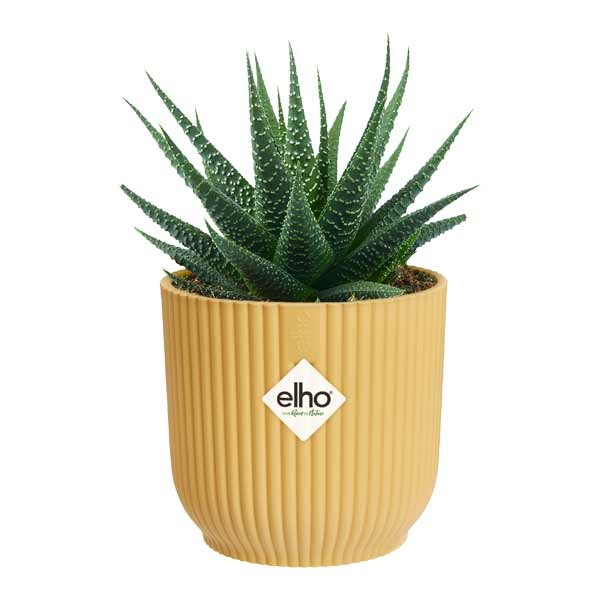 Elho Vibes Fold Round Butter Yellow Mini 11cm