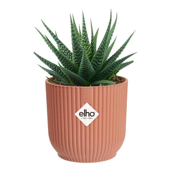 Elho Vibes Fold Round Delicate Pink Mini 11cm