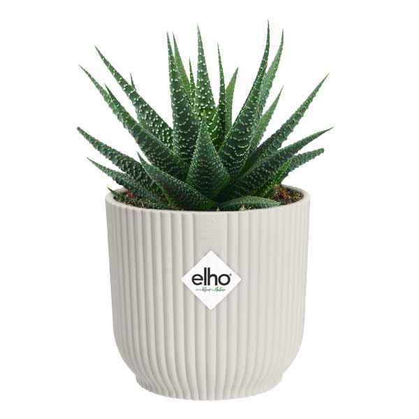 Elho Vibes Fold Round Silky White Mini 11cm