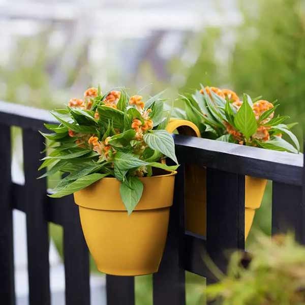 Elho Vibia Campana Honey Yellow Twin Hanger Flower Pot