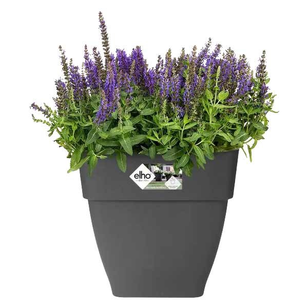 Elho Vibia Campana Square Anthracite 37cm Flower Pot