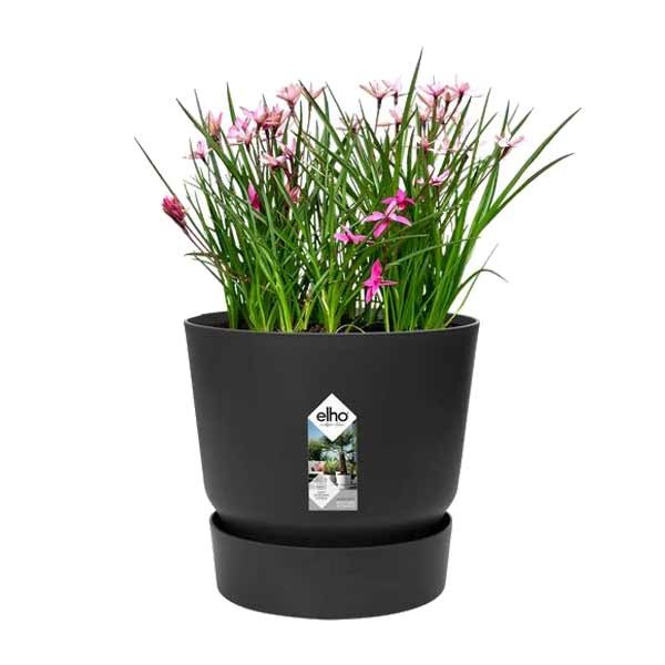 Elho Greenville Round Living Black 18cm Flower Pot