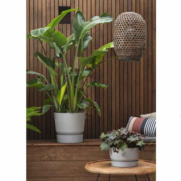 Elho Greenville Round Living Concrete 18cm Flower Pot