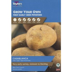 Taylors Bulbs Casablanca Potatoes 10 Pack - GB