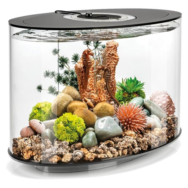 biOrb Loop 15 Litre LED Black Aquarium