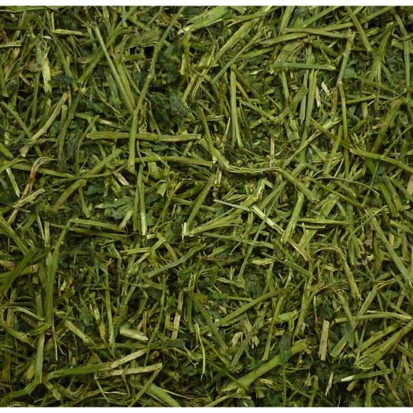 Friendly Alfalfa ReadiGrass 1kg