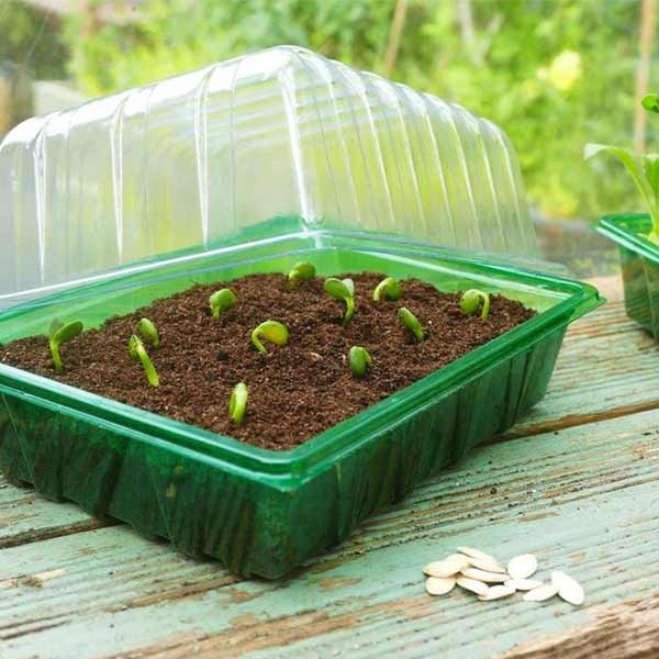 Gro-Sure Visiroot Half Seed Trays 8 Pack