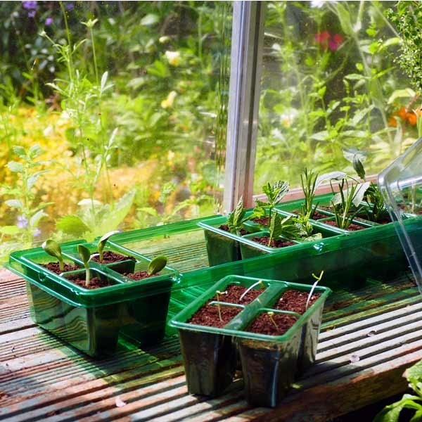 Gro-Sure Visiroot Windowsill Propagator Set