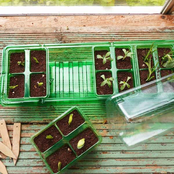 Gro-Sure Visiroot Windowsill Propagator Set