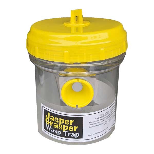 Greenkey Jasper Grasper Wasp Trap