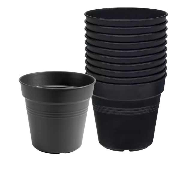 Elho Green Basics Growpot Living Black 8cm 10 Pack