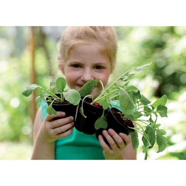 Elho Green Basics Growpot Living Black 8cm 10 Pack