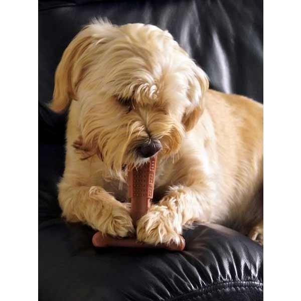 Bamboodles Dog T-Bone Bamboo+Nylon Chew Beef Medium (6")