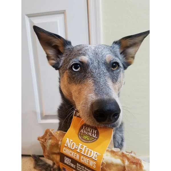 Earth Animal No-Hide Wholesome Chicken Chew Medium Single Dog Treat