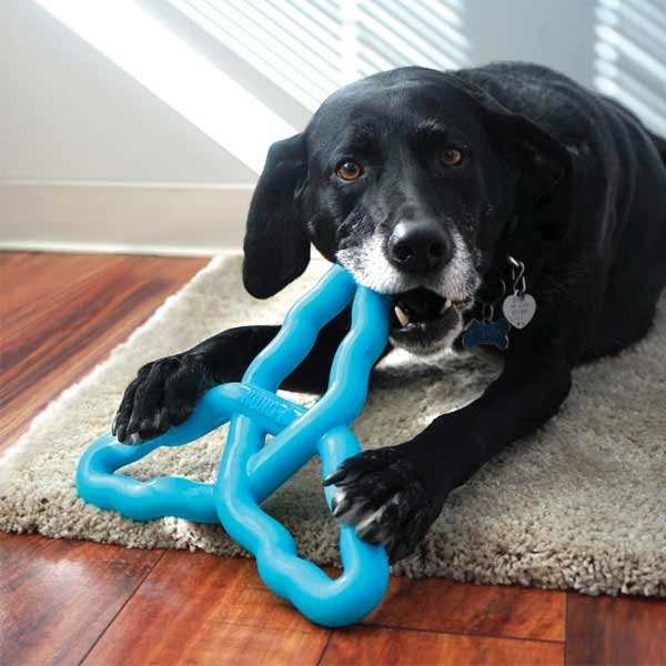 KONG Flyangle Large Dog Toy