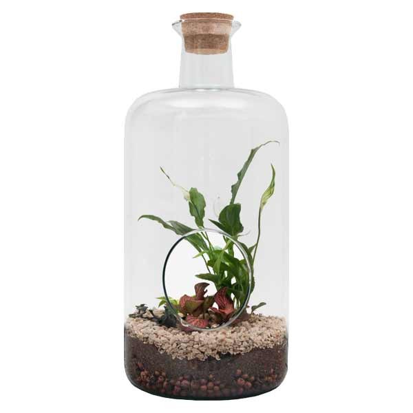 Growth Technology Terrarium Bovey Large