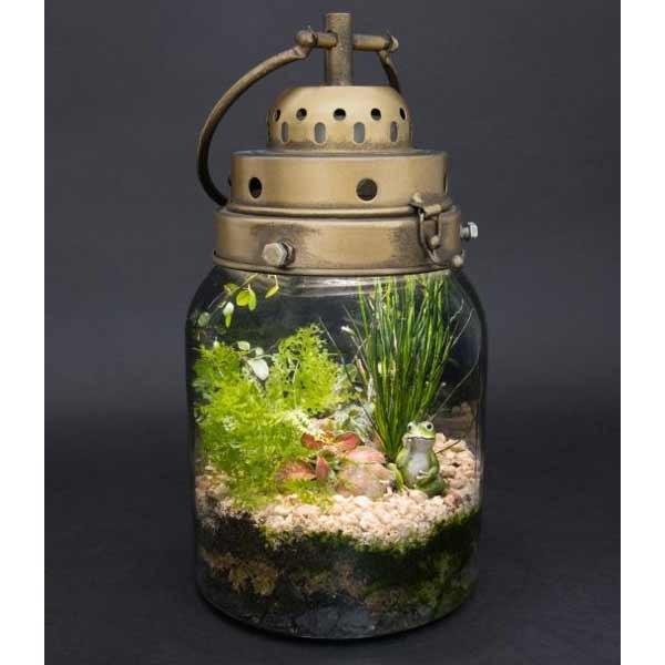 Growth Technology Terrarium Wardell Lantern with LED Light