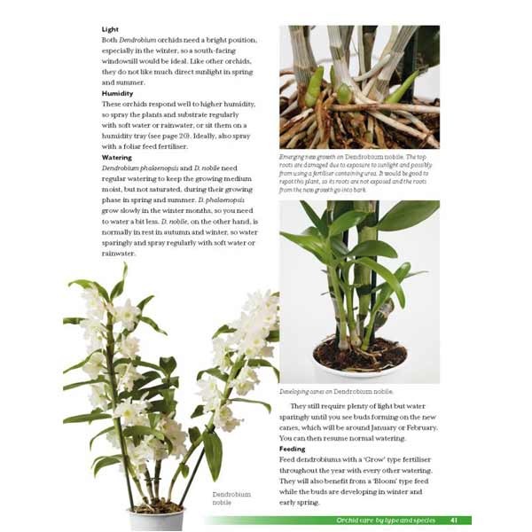 Growth Technology Growing Orchids at Home Book