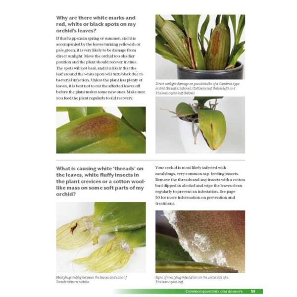 Growth Technology Growing Orchids at Home Book