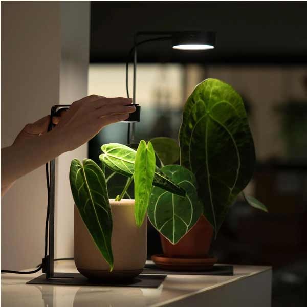 ONF Misto LED Magnetic Plant Light