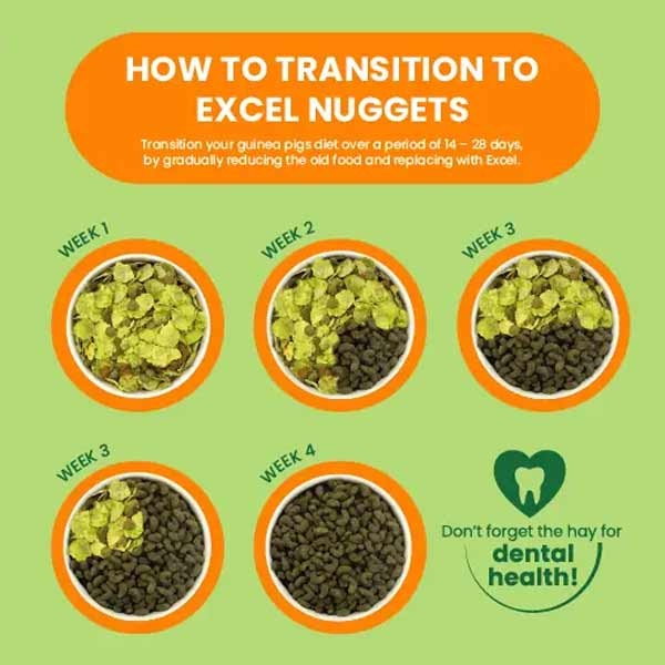 Burgess Excel Guinea Pig Nuggets Mint 3kg