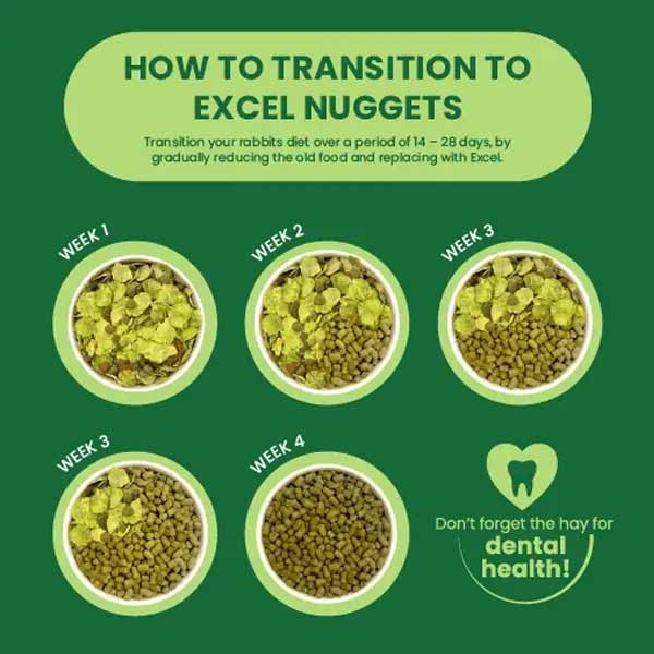 Burgess Excel Rabbit Mint Nuggets 3kg