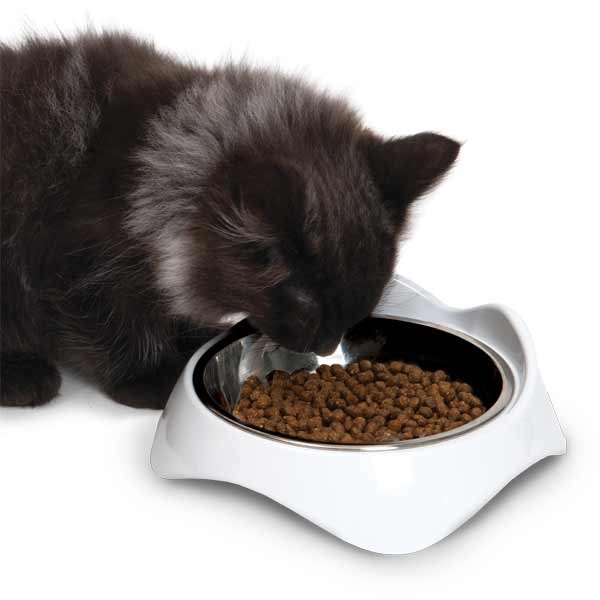 Catit Pixi Single Feeding Dish White