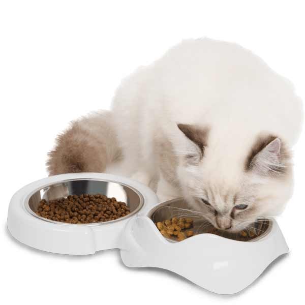 Catit Pixi Double Feeding Dish White