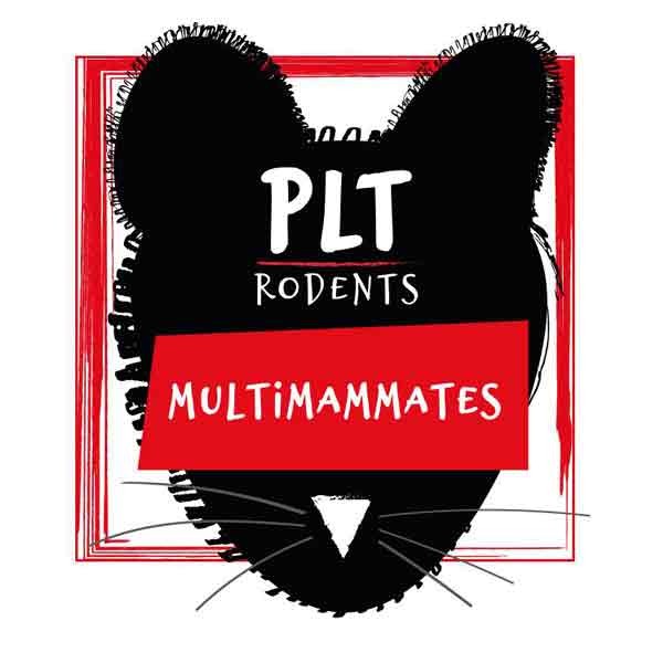 PLT Rodents Frozen Multi Mammate Small 10g+ 10 Pack