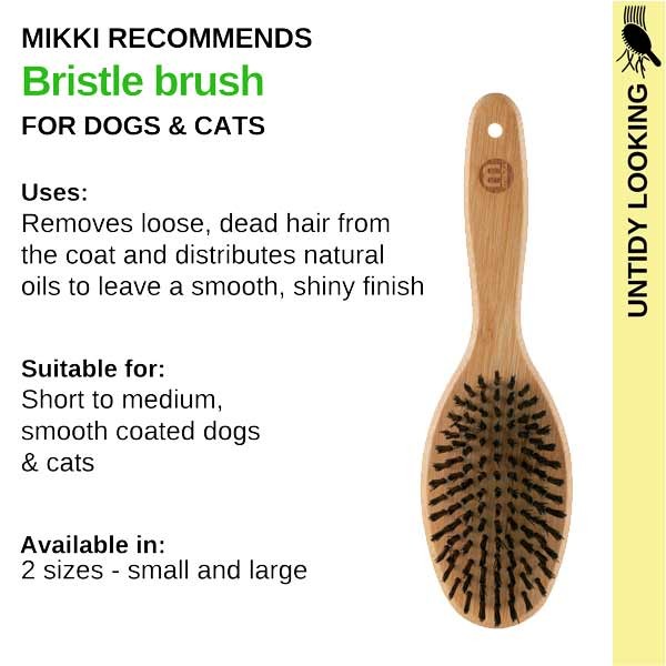 Mikki Bamboo Bristle Brush – Small