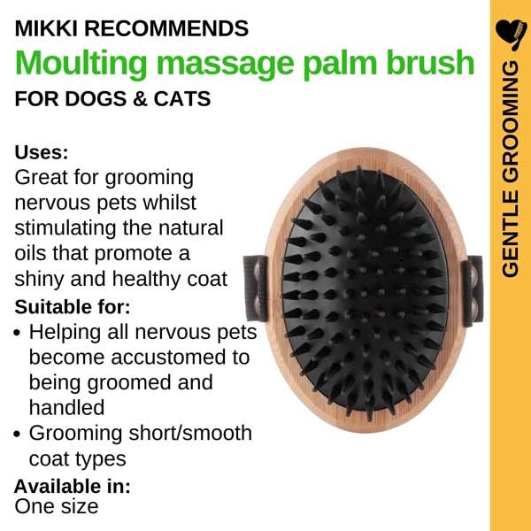 Mikki Bamboo Palm Brush – Moulting Massage