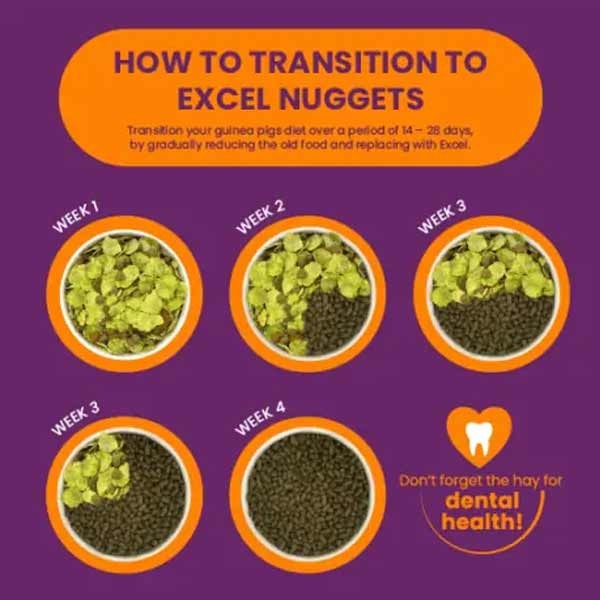 Burgess Excel Guinea Pig Blackcurrant & Oregano Nuggets 1.5kg