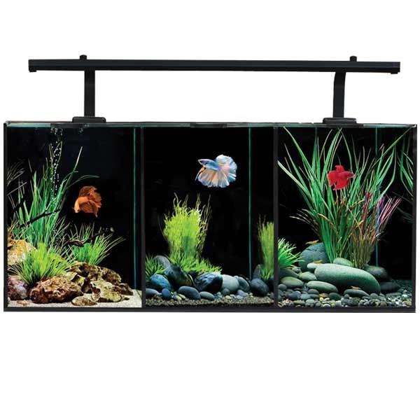 Aqua One Betta Trio Glass Aquarium 32L