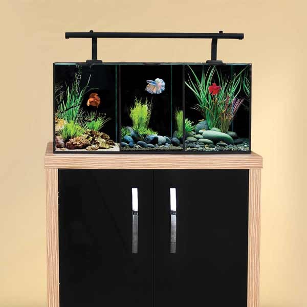 Aqua One Betta Trio Glass Aquarium 32L