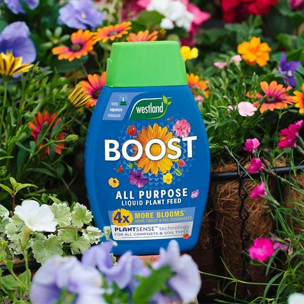 Westland Boost All Purpose Liquid Plant Food 1 Litre