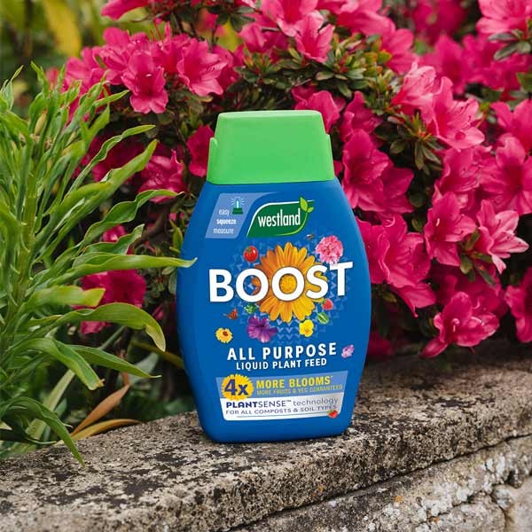 Westland Boost All Purpose Liquid Plant Food 1 Litre